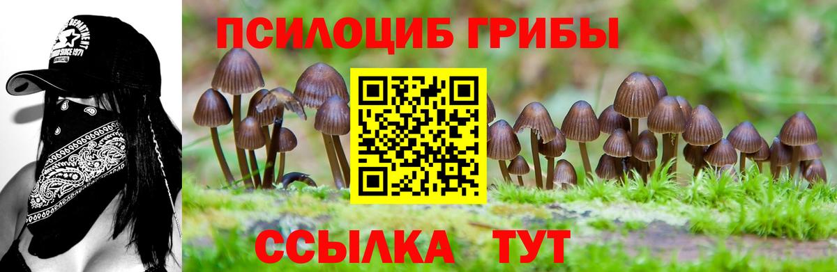 Симферополь  Псилоцибиновые грибы GOLDEN TEACHER  Вход с VPN 